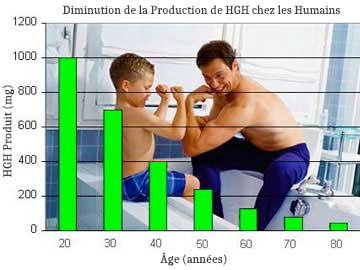 Père et Fils Graphique de Croissance